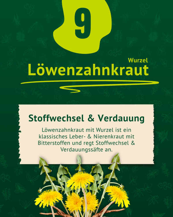 LEXA Kräutermischung Leber und Niere 500g