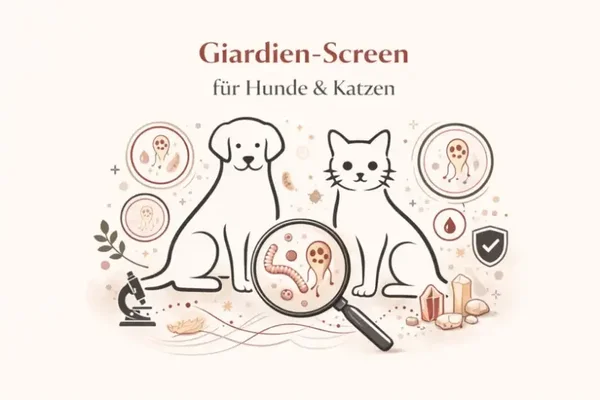 Giardien-Screen für Hunde und Katzen