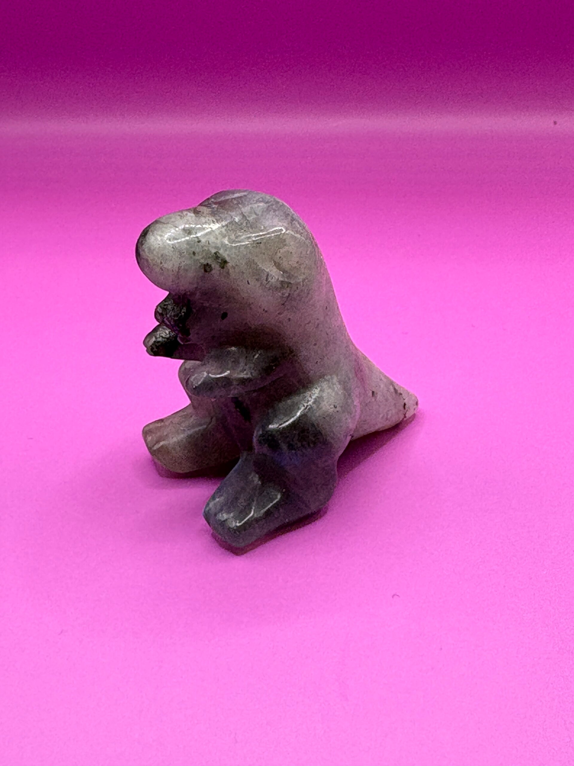 Dino's - T-Rex - klein