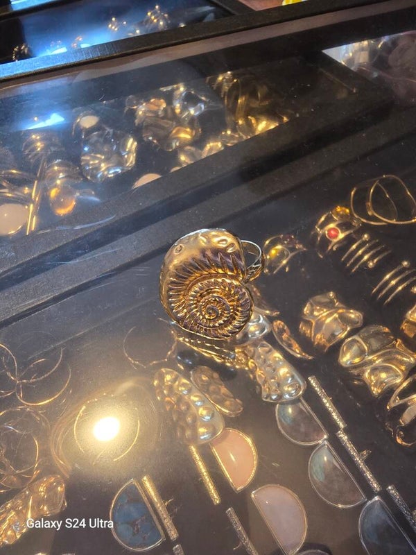 Bague coquillage nautile