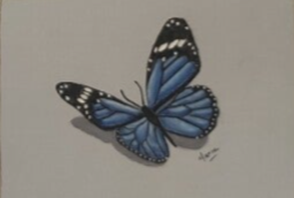 Animal Art Workshop – Butterfly (Beginner)