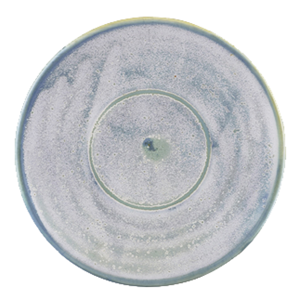 Terra seafoam schotel 14,5cm