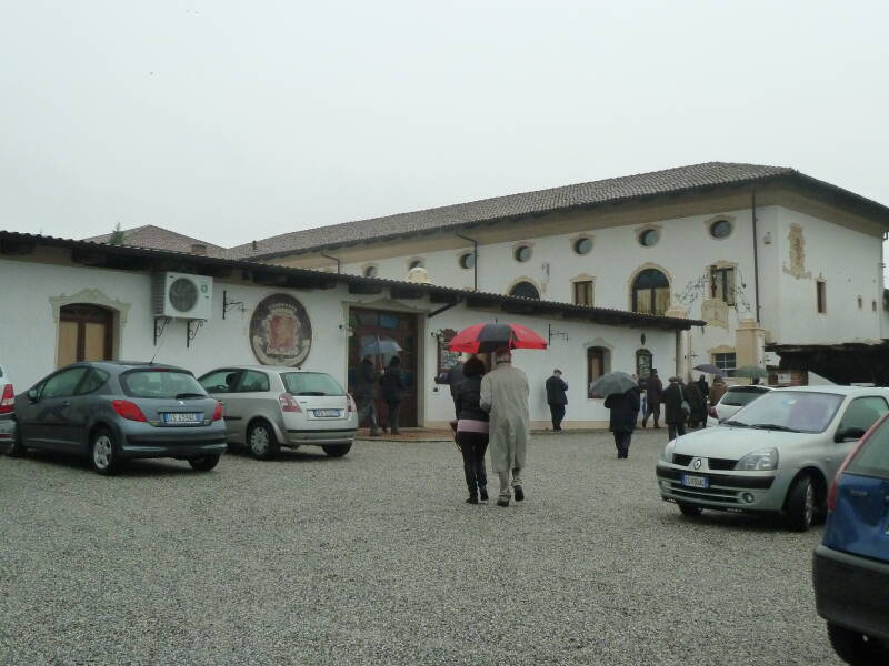 p1150641-standard-cy12t1.jpg