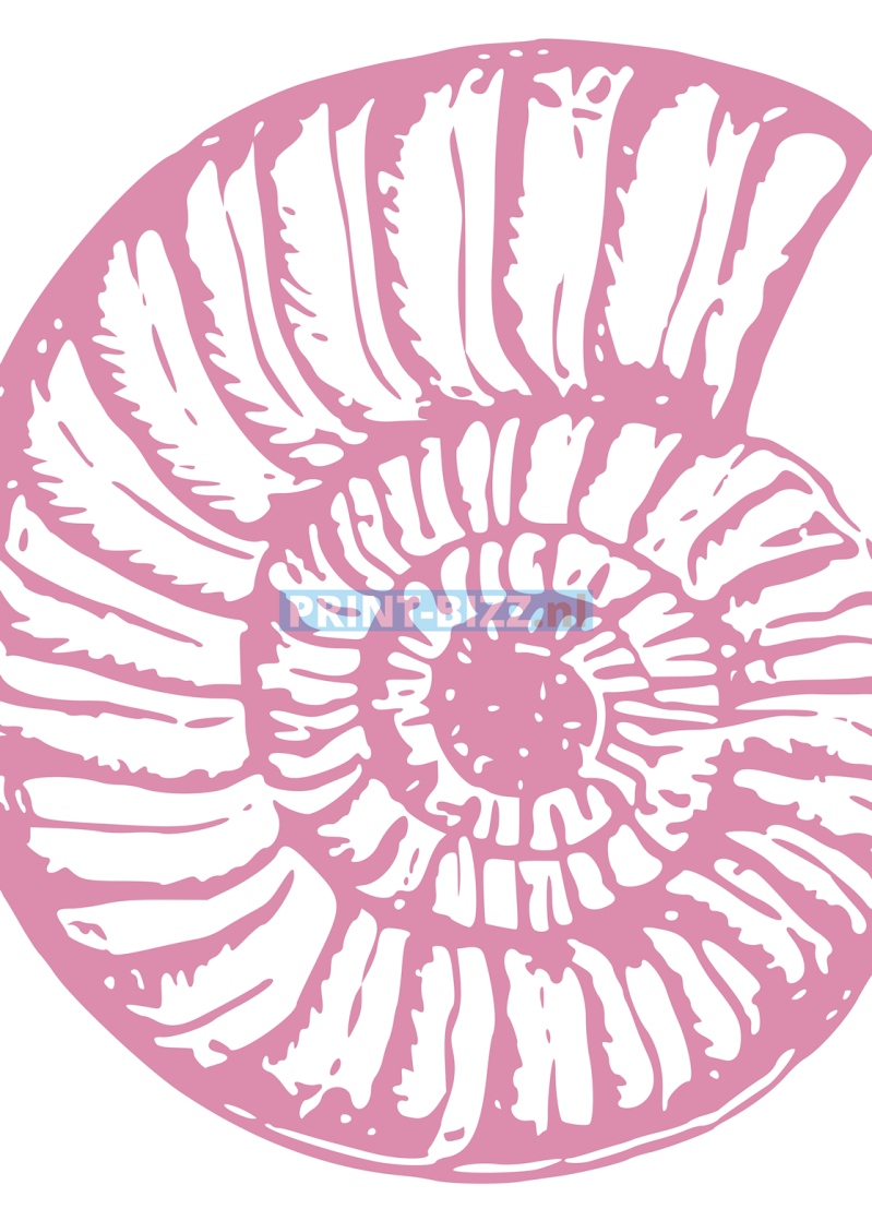 127-copy-standard.png