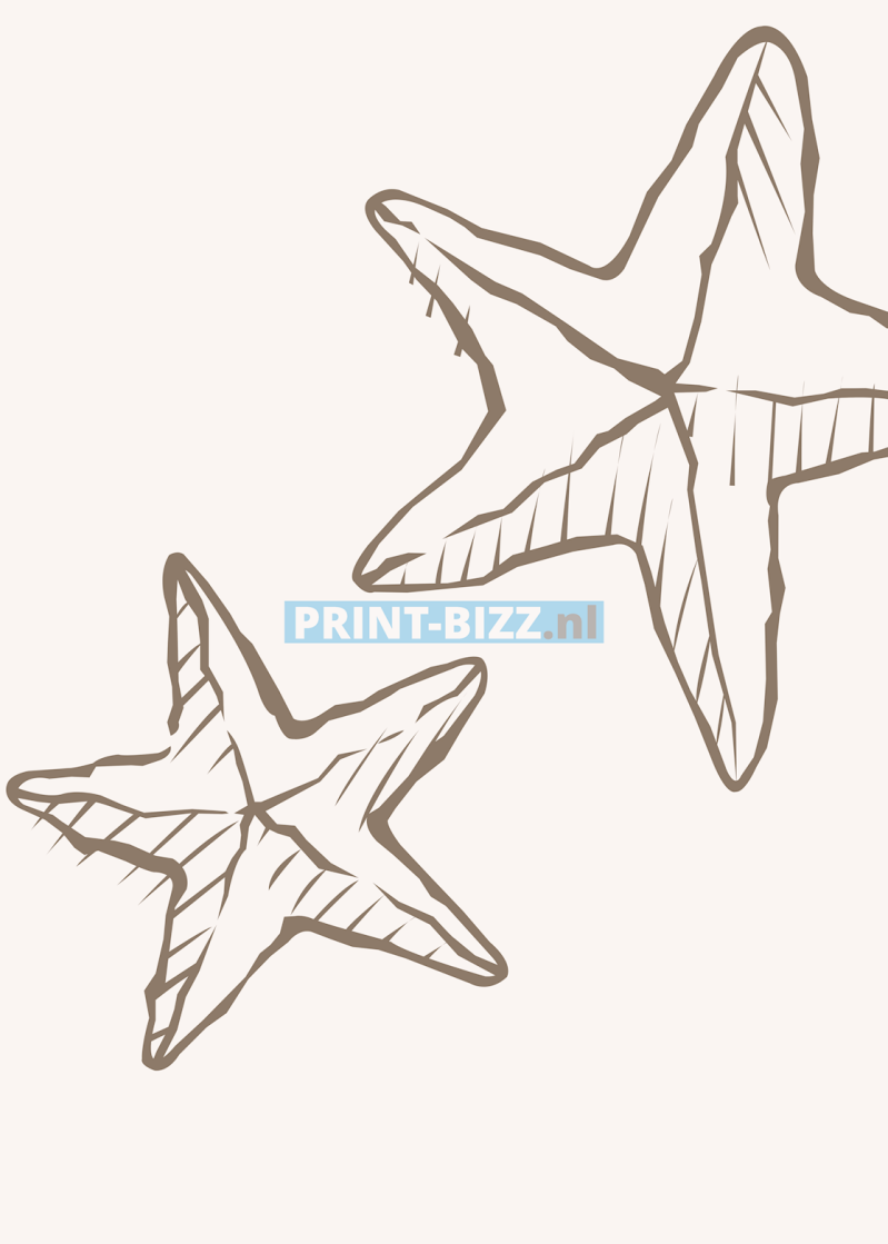 20-copy3-standard.png