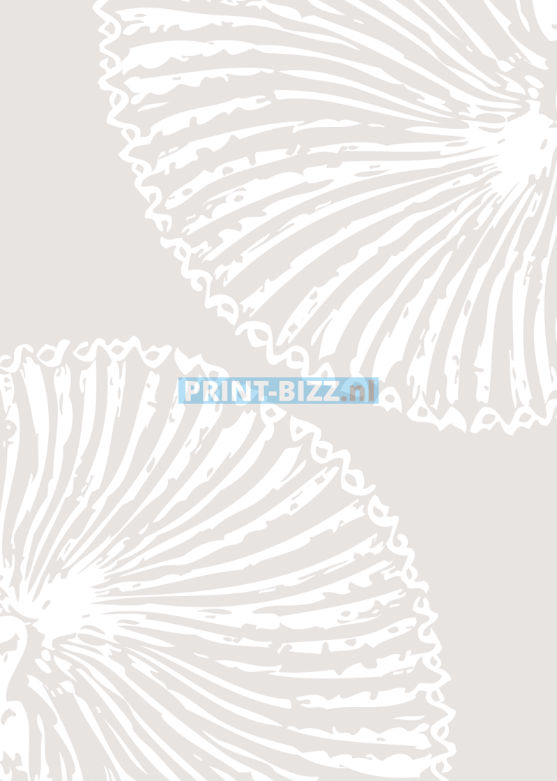 221-standard.png