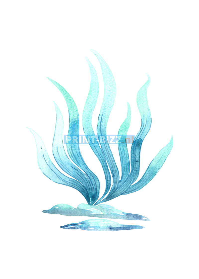 30-standard-apxuew.png