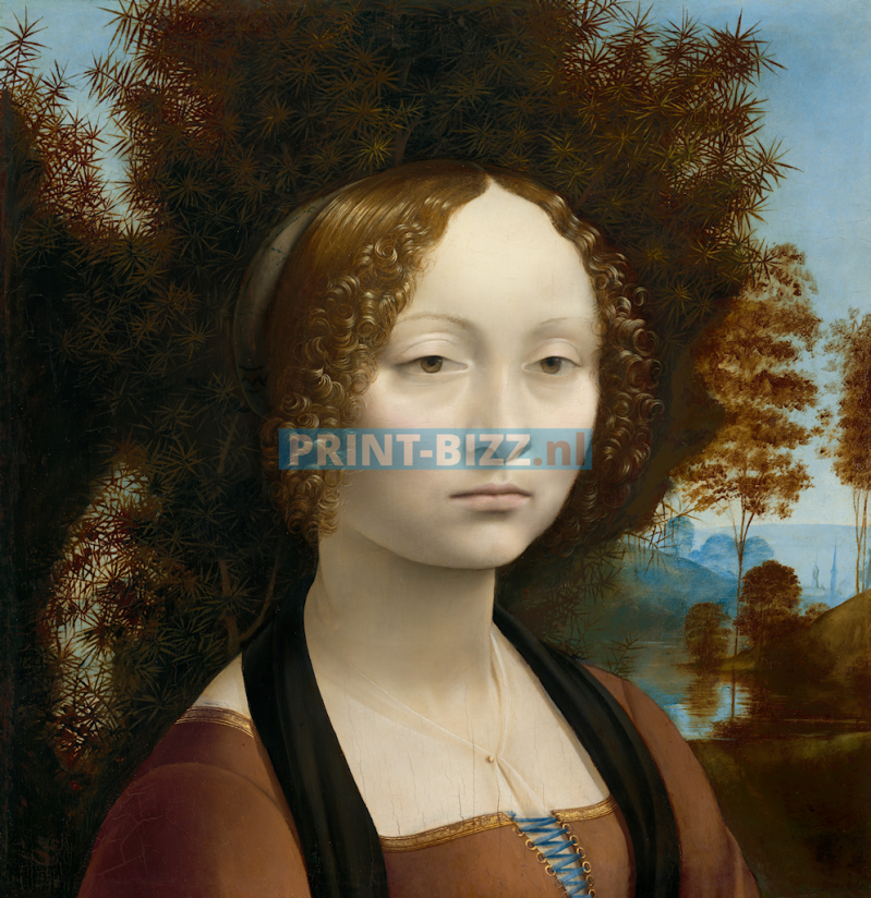 ginevra-de_-benci-ca-1474-1478-by-leonardo-da-vinci-standard.png