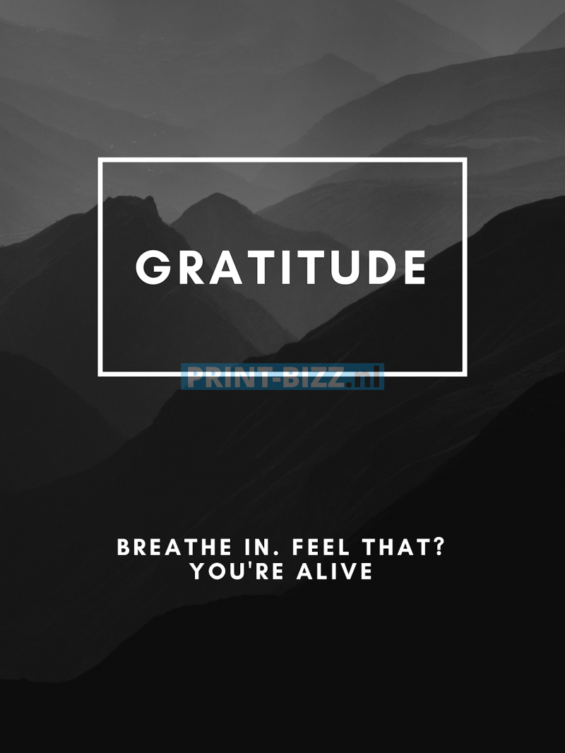 gratitude-1-standard.png