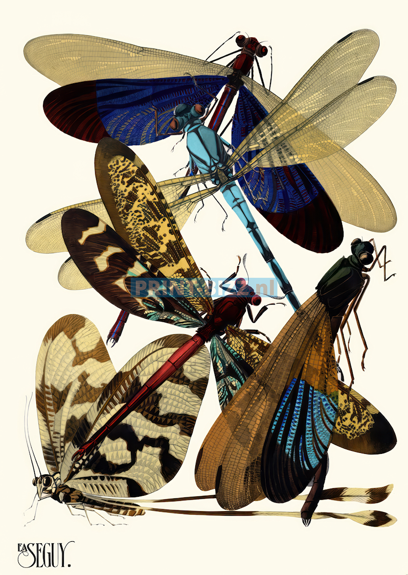 insectes-pl-02-1929-copia-standard.png