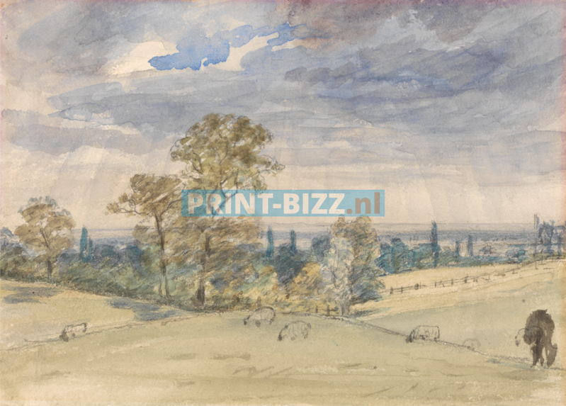 john-constable27-standard.png