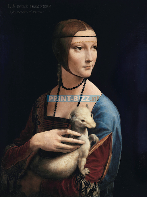 leonardo-da-vinci_s-lady-with-an-ermine-ca-1490-standard.png