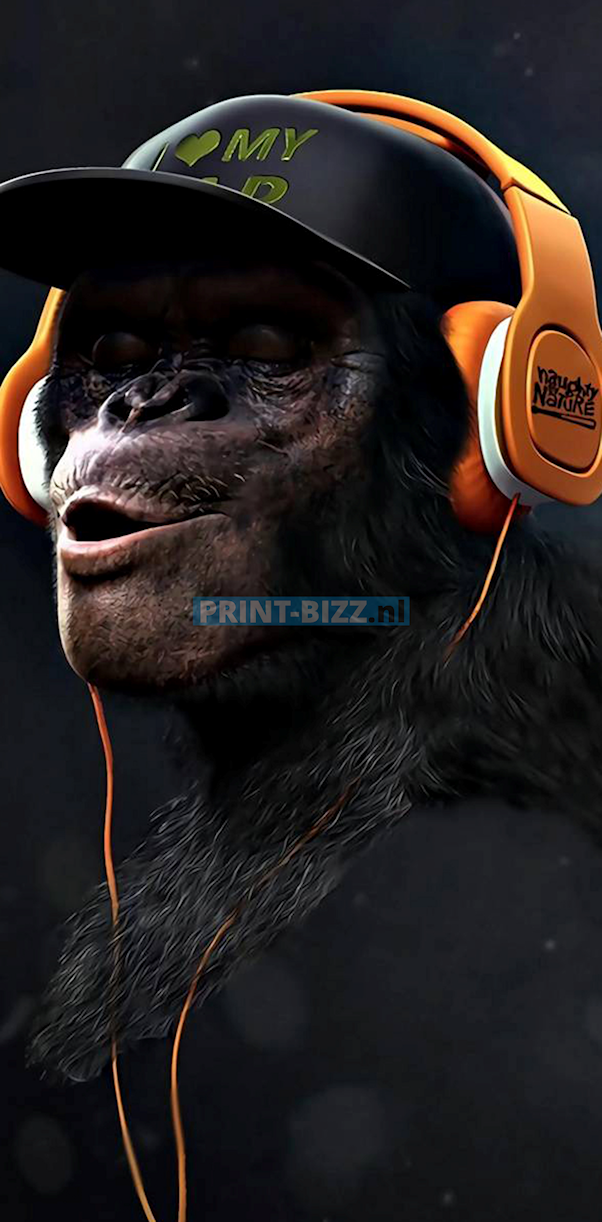 monkey-1-2-standard.png