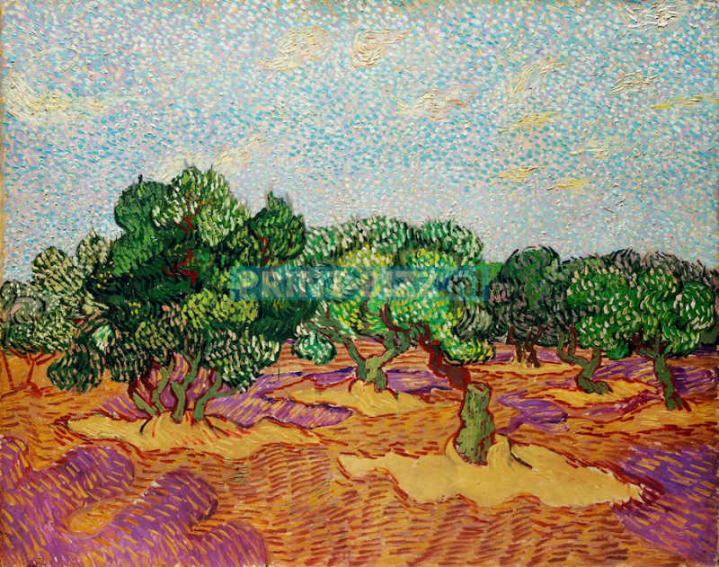 olive-trees-1889-by-vincent-van-gogh-2-standard.png