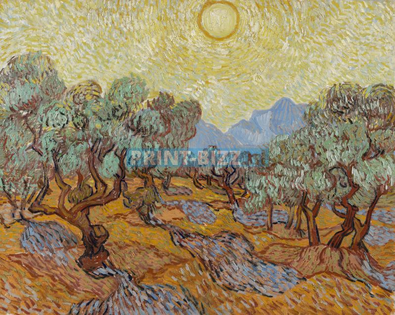 olive-trees-1889-standard.png