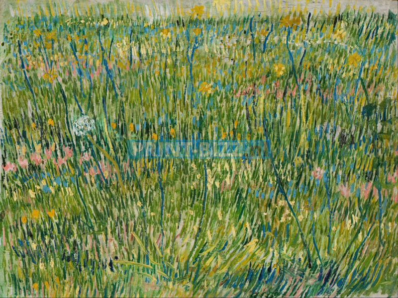 patch-of-grass-1887-standard.png
