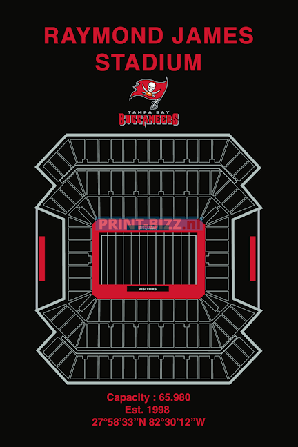 raymond-james-stadium-24-x-36-standard.png