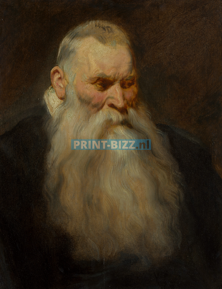 study-head-of-an-old-man-with-a-white-beard-by-anthony-van-dyck-standard.png