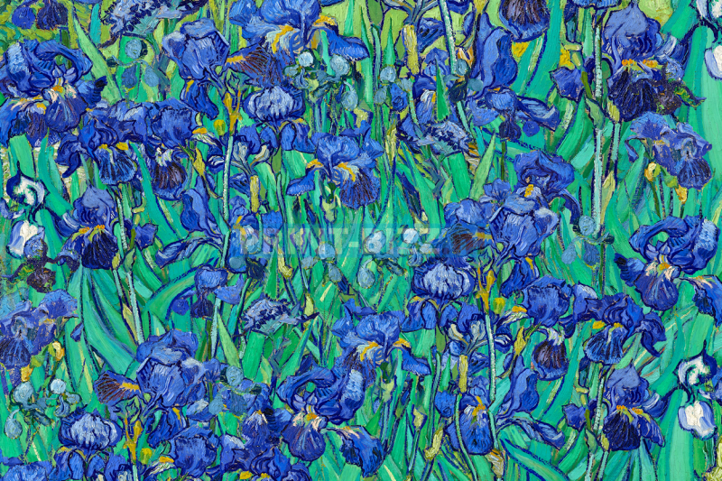 van-gogh-6-standard.png