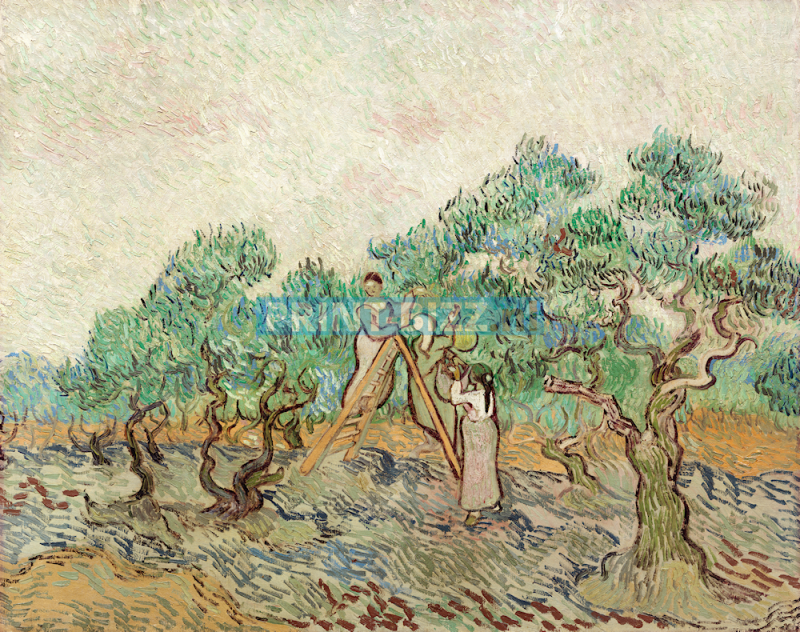 van-gogh-83-standard.png