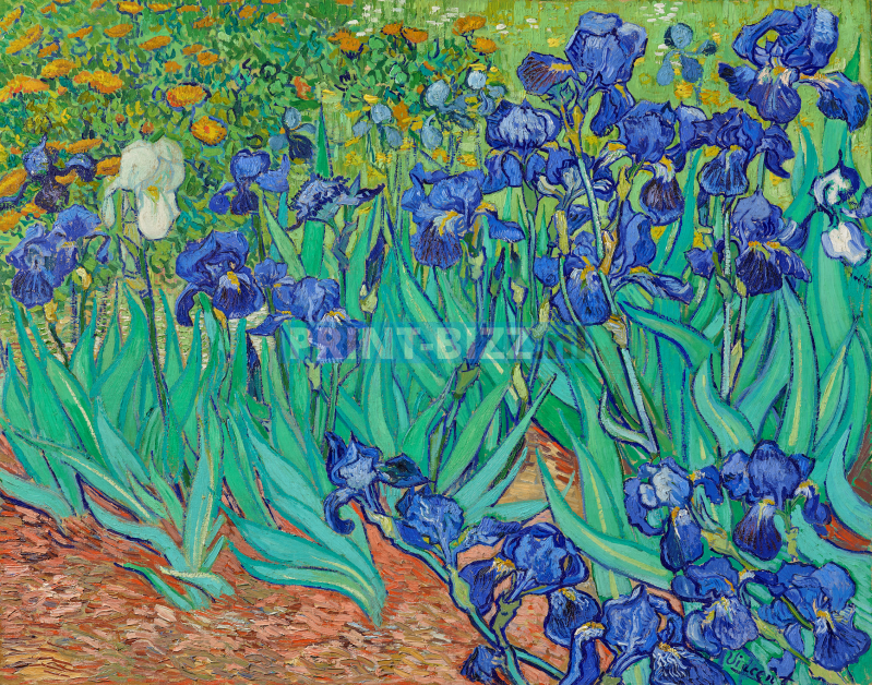 vincent-van-gogh_s-irises-1889-standard.png