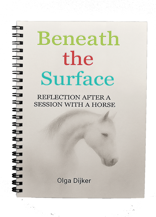 Beneath the Surface book - Engels