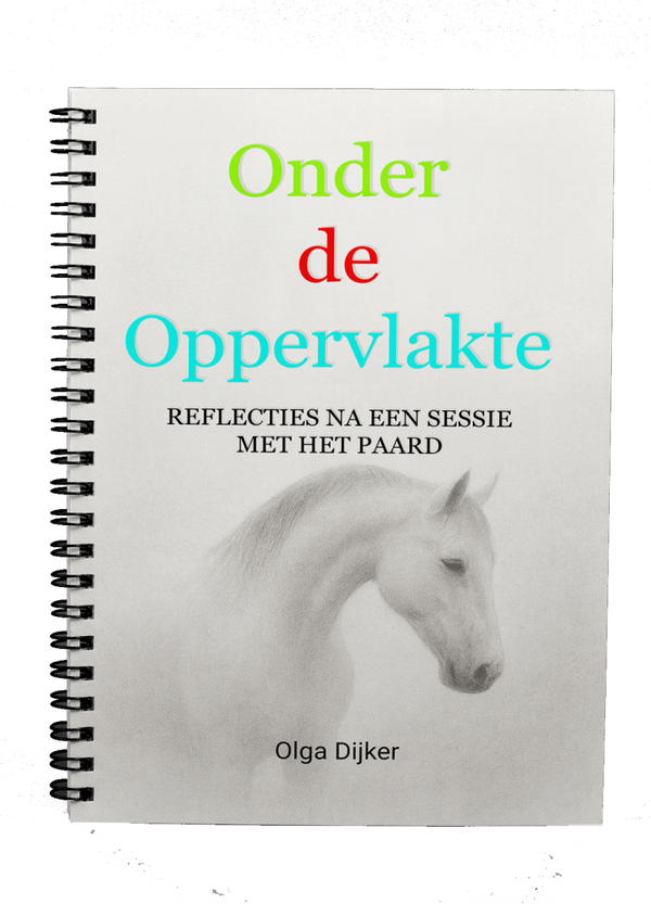 Onder de Oppervlakte boek - Nederlands