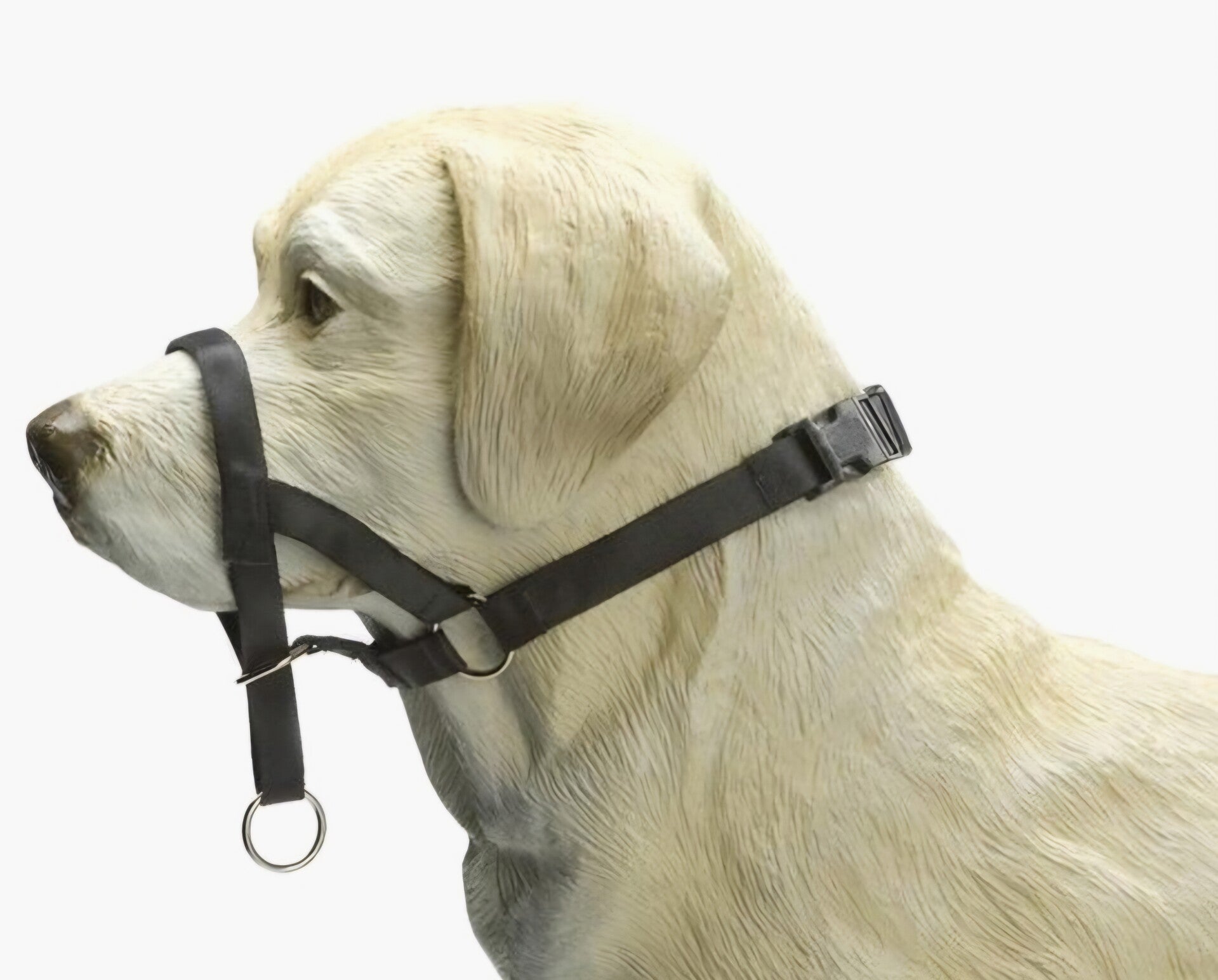 Beeztees Dog Control - Zwart - M