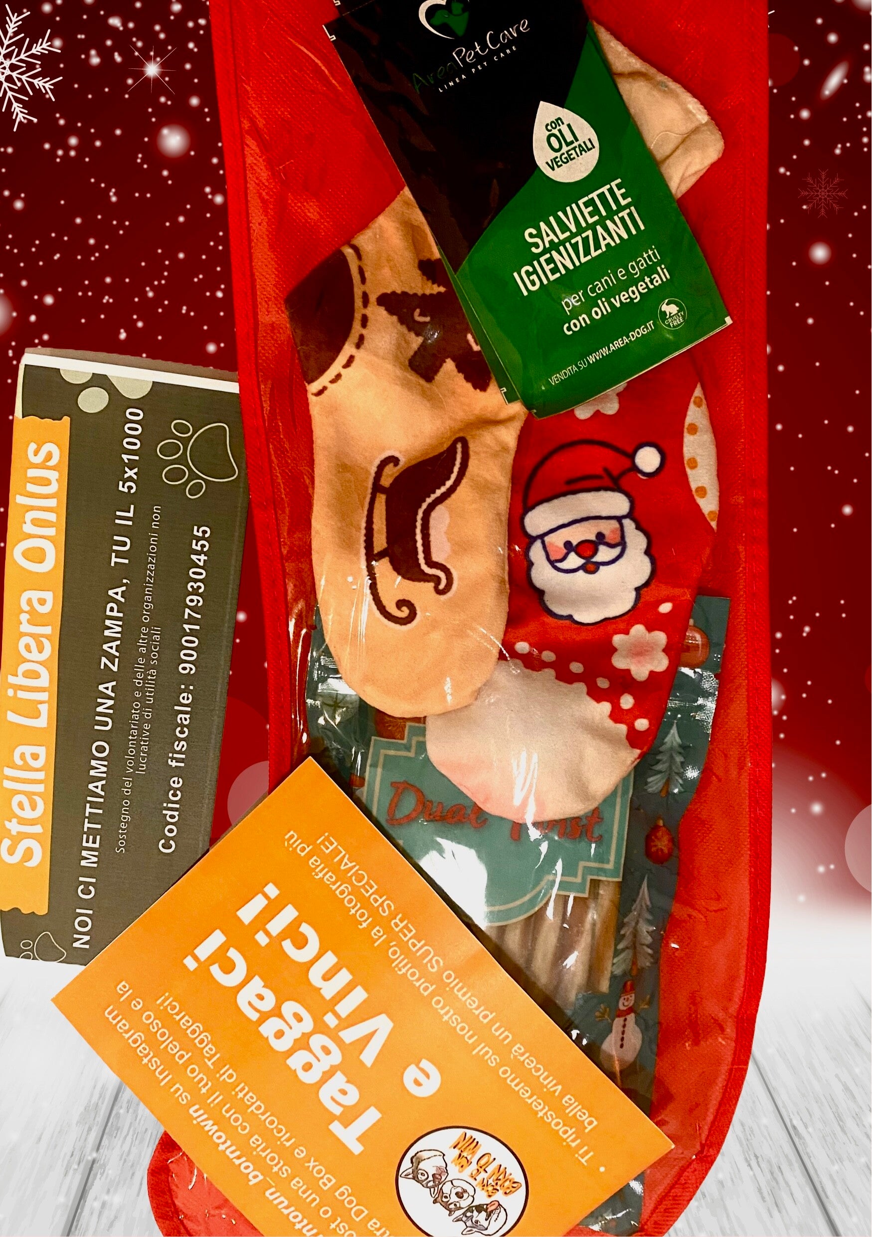 DOG BOX - Epifania MOD.2 🧙🏼‍♀️