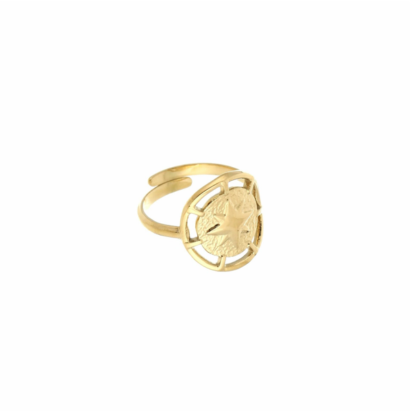 Ring Vajen - Gold