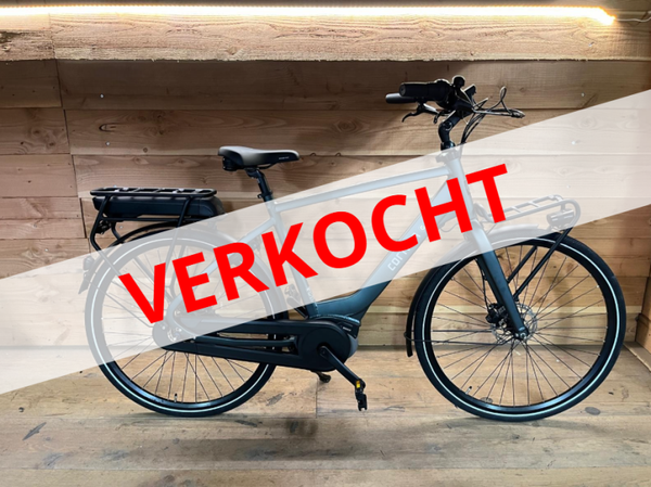 Cortina common herenfiets groen