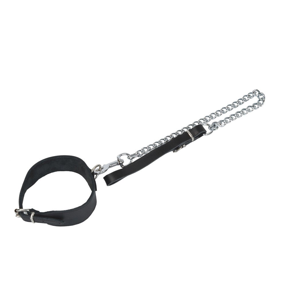 Halsband mit Halbring und Führungskette 10726