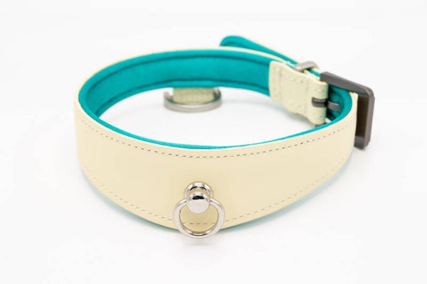 Black Swan Collar Halsband