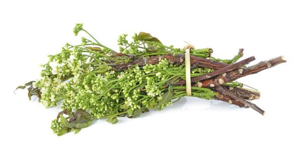 Neem Free Flower 100g ดอกสะเดา