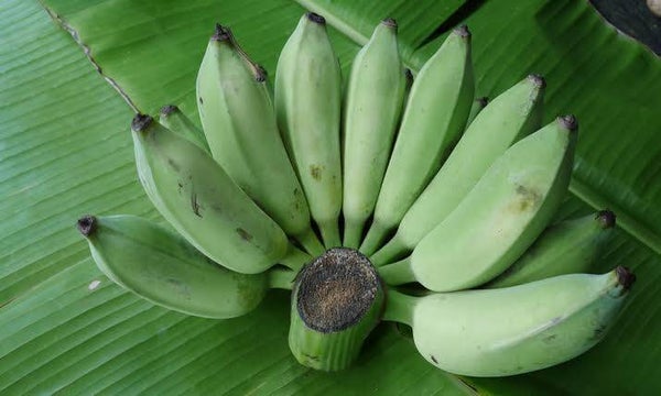 Thai Banana/  Cultivated banana กล้วยน้ำว้า