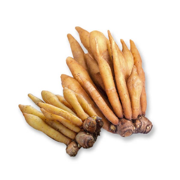 Kaempfer กระชาย 250g