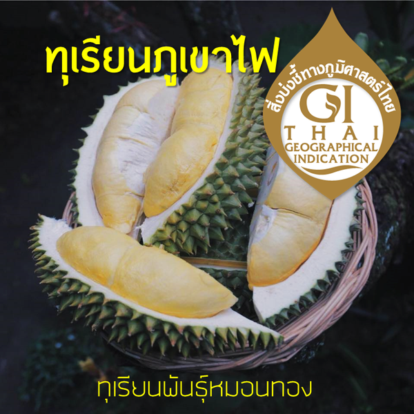 PEELED VOCALNO DURIAN ทุเรียนแกะเนื้อภูเขาไฟ 500g
