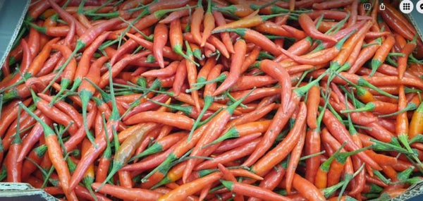 Jinda Red Chilli พริกแดงจินดา 500g