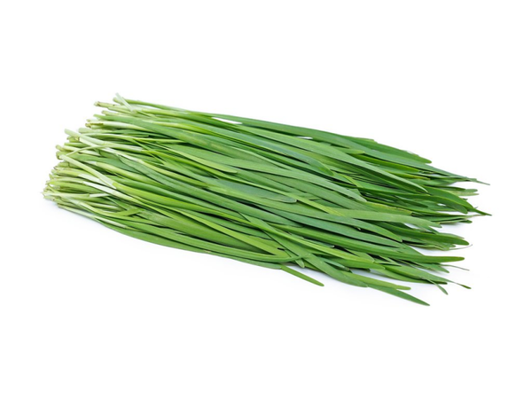 Garlic Chive ใบกุ่ยช่าย 100g