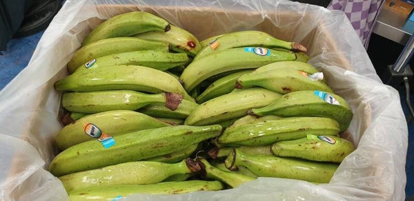Groen Bankbananen 1kg