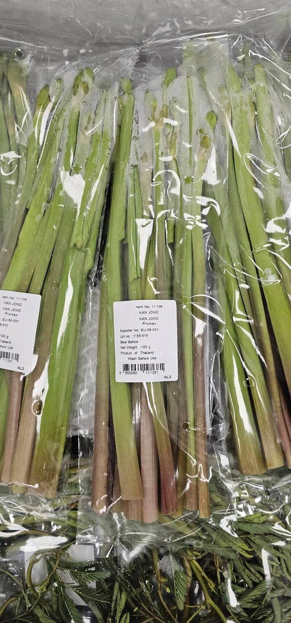 Kan Jong ผักก้านจอง 100g