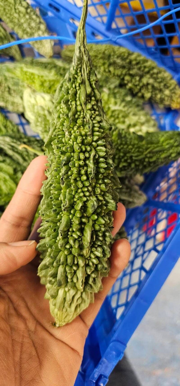ฺBitter Melon  Karela 500g