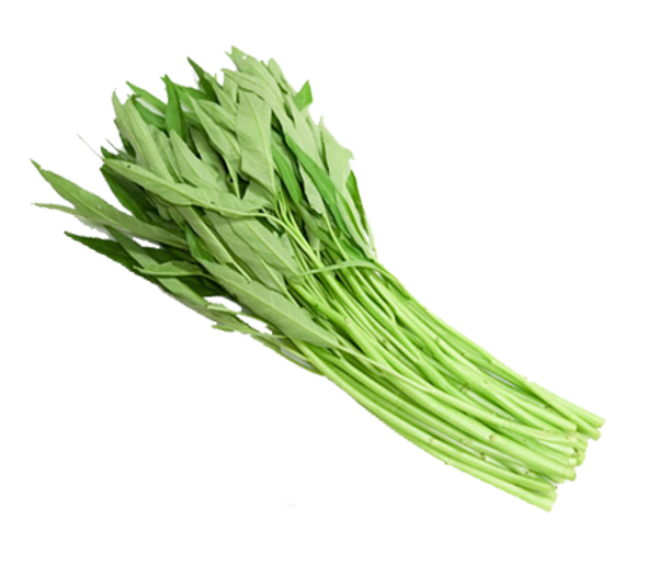 Morning Glory ผักบุ้งจีน 100g