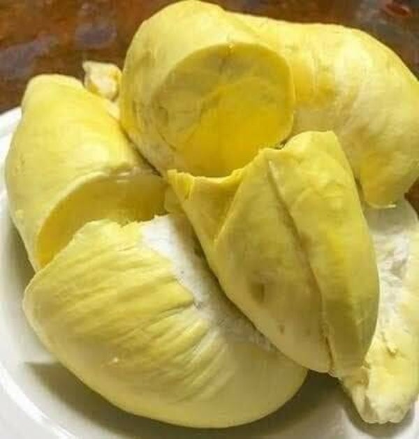 Durian 500g x5 boxes ทุเรียนหมอนทอง 5 กล่อง