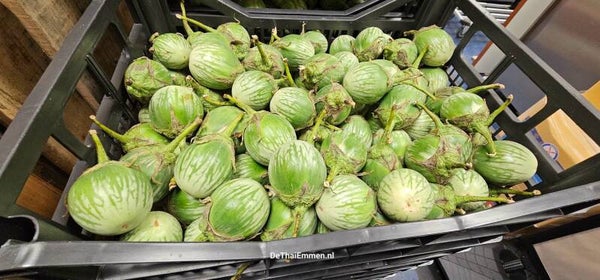 Green Eggplant 5kg มะเขือลาย