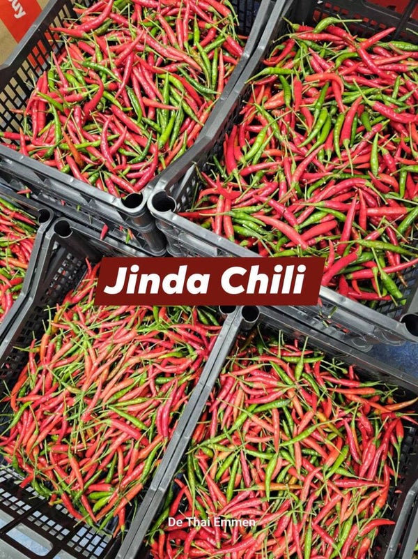 Jinda Chili 1kg พริกจินดาสวน