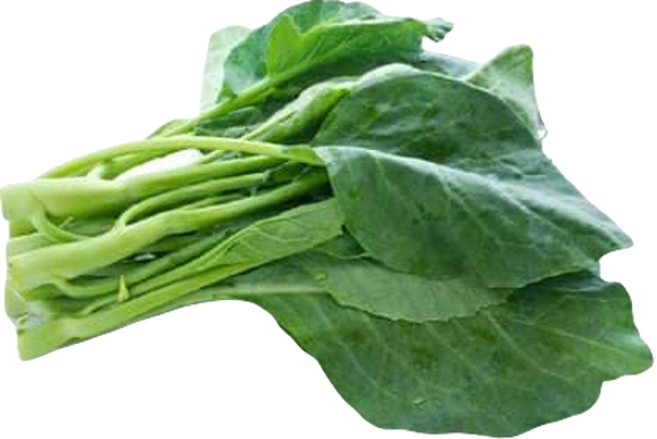 Kailan ผักคะน้า 500g