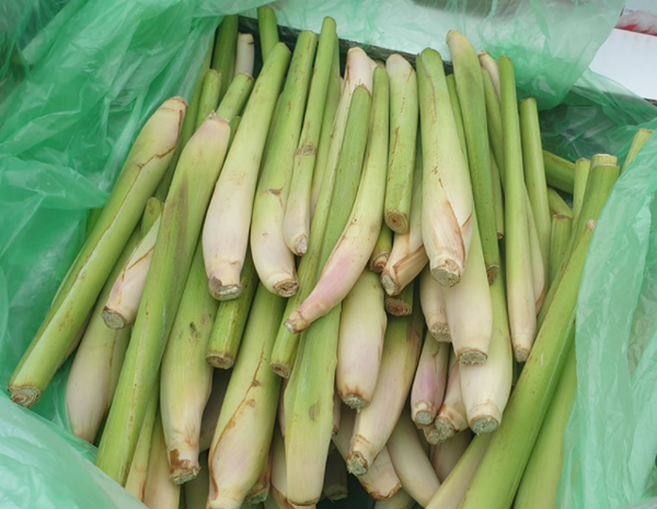 Lemon grass ตะไคร้ 500g