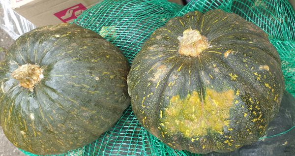 Pumpkin 1kg/stuk