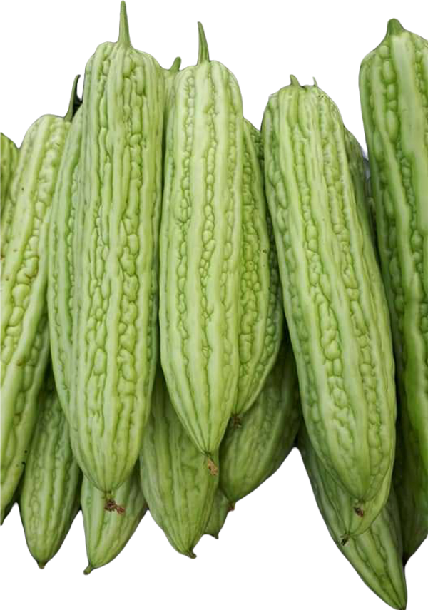Vers Bitter Melon (Fu Kwa) 500g มะระจีน